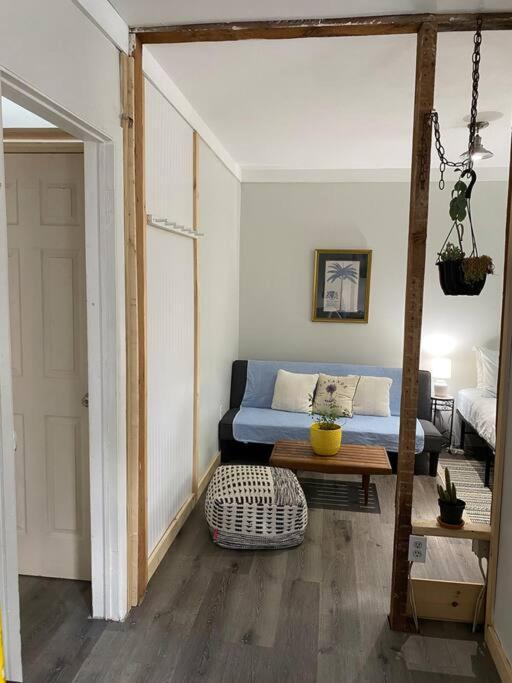 Studio Apt W Garden Kingston Dış mekan fotoğraf